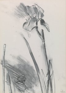 Iris 2 door William Packer